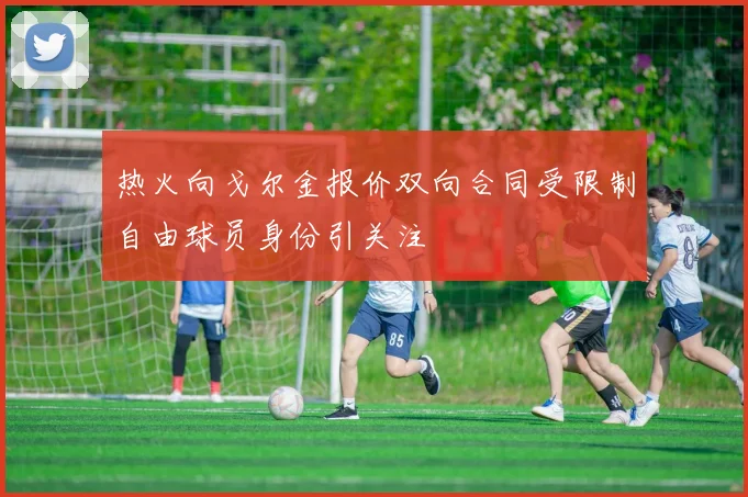 热火向戈尔金报价双向合同受限制自由球员身份引关注